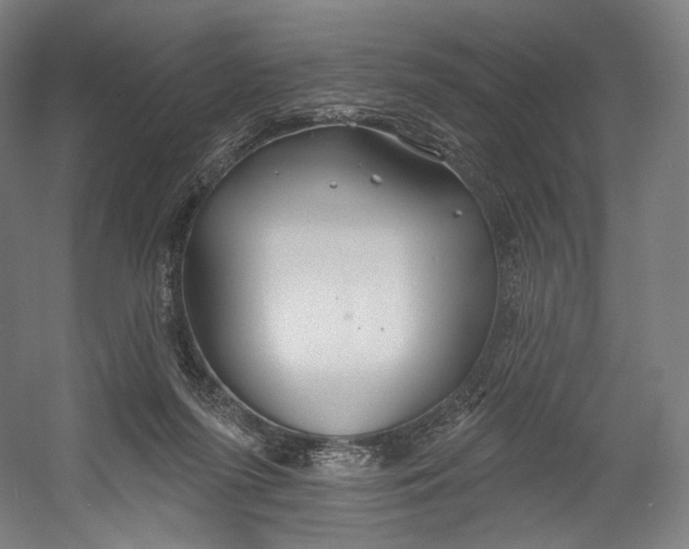 X0000055210215200508301330.png