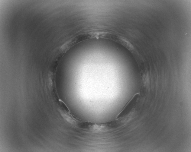 X0000054330570200508111922.png