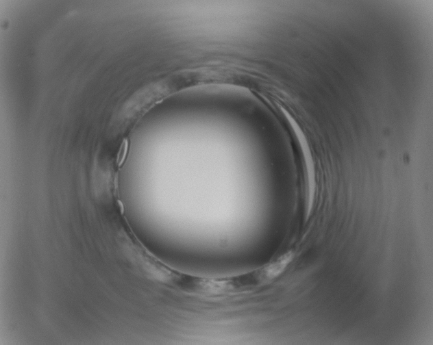 X0000054650333200508091648.png