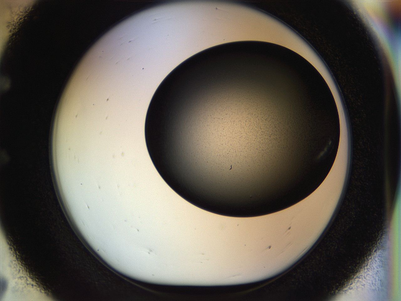 055p_E7_ImagerDefaults_8.jpg