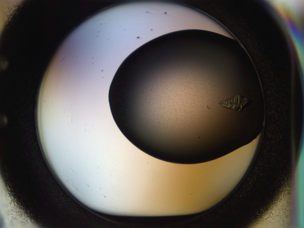 055p_E8_ImagerDefaults_8.jpg