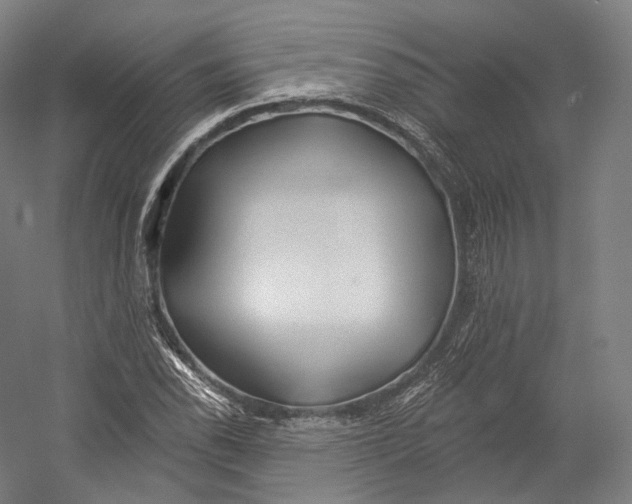 X0000055211118200508301314.png