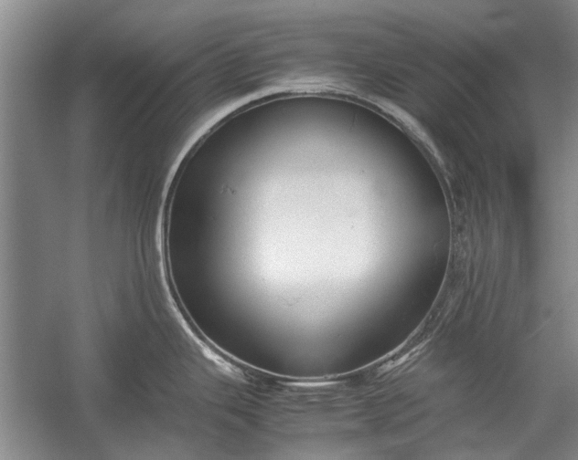 X0000055061343200508161636.png