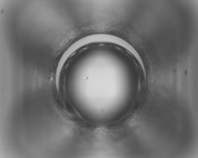 X0000052120119200507262101.png