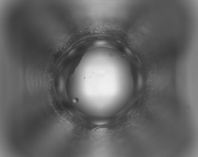 X0000052150452200507051956.png