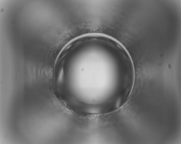X0000052120136200507262101.png