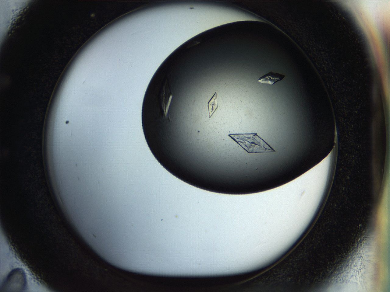 055p_E11_ImagerDefaults_9.jpg