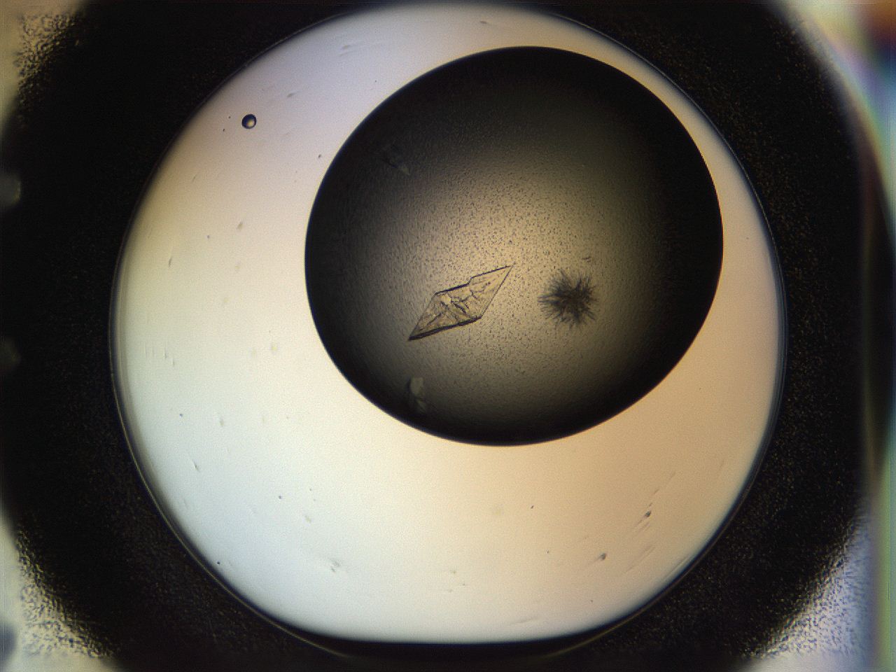 055q_E7_ImagerDefaults_8.jpg