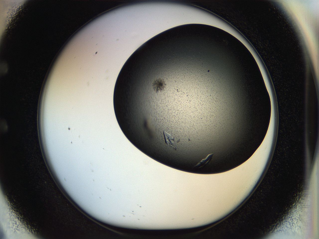 055q_E9_ImagerDefaults_8.jpg