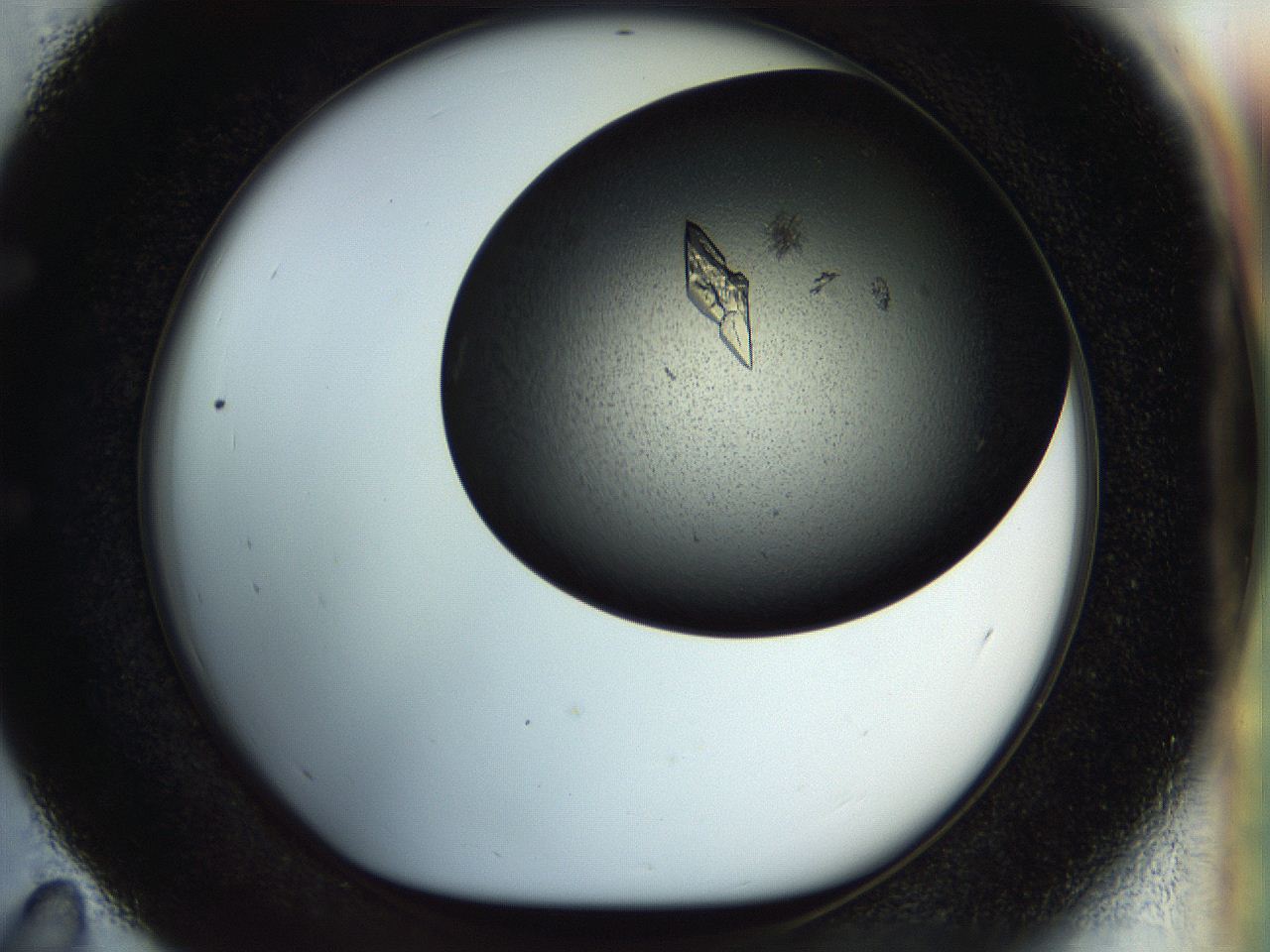 055q_E11_ImagerDefaults_8.jpg