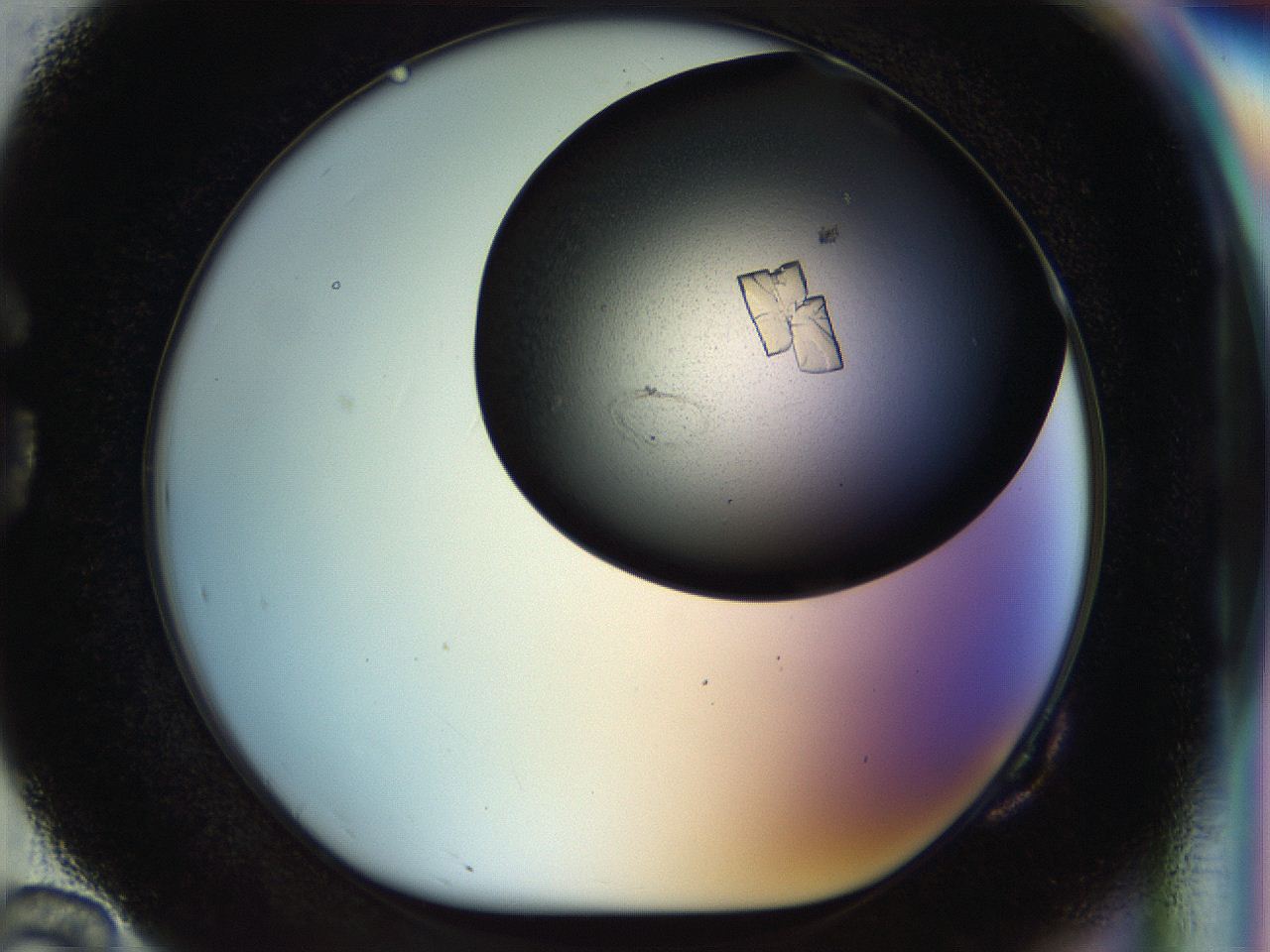 055q_G10_ImagerDefaults_8.jpg