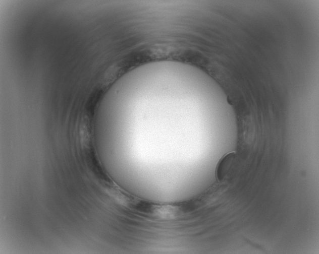 X0000054330226200508111927.png