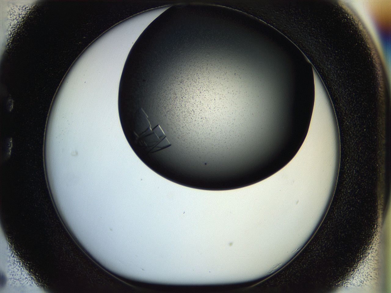 055q_C5_ImagerDefaults_9.jpg