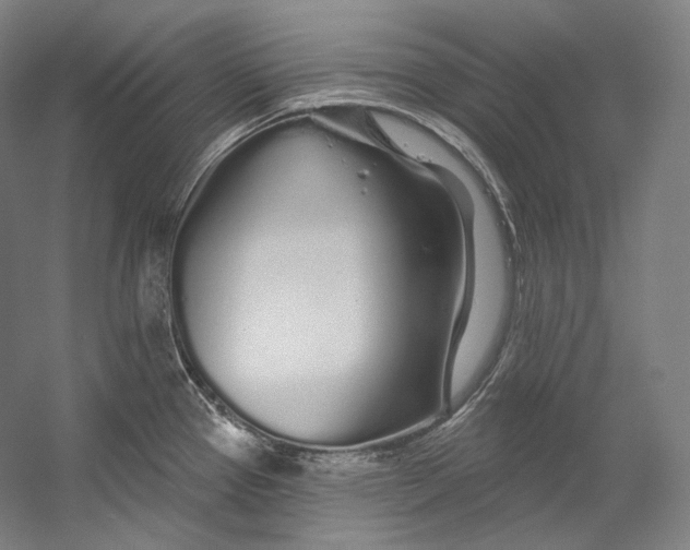 X0000055211337200508301312.png