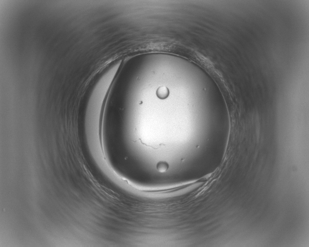X0000055060154200508161655.png