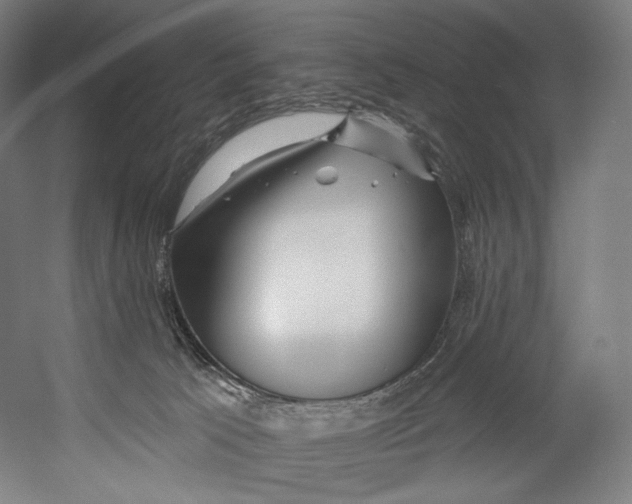 X0000055210033200508301333.png