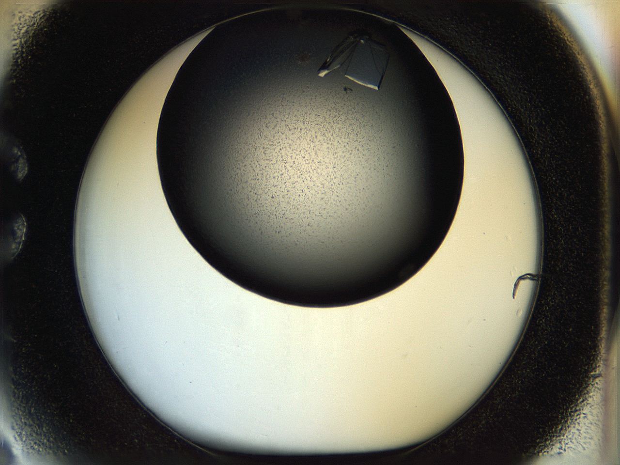 055q_C3_ImagerDefaults_9.jpg