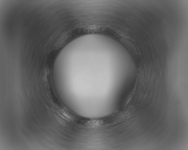 X0000055250225200509071624.png