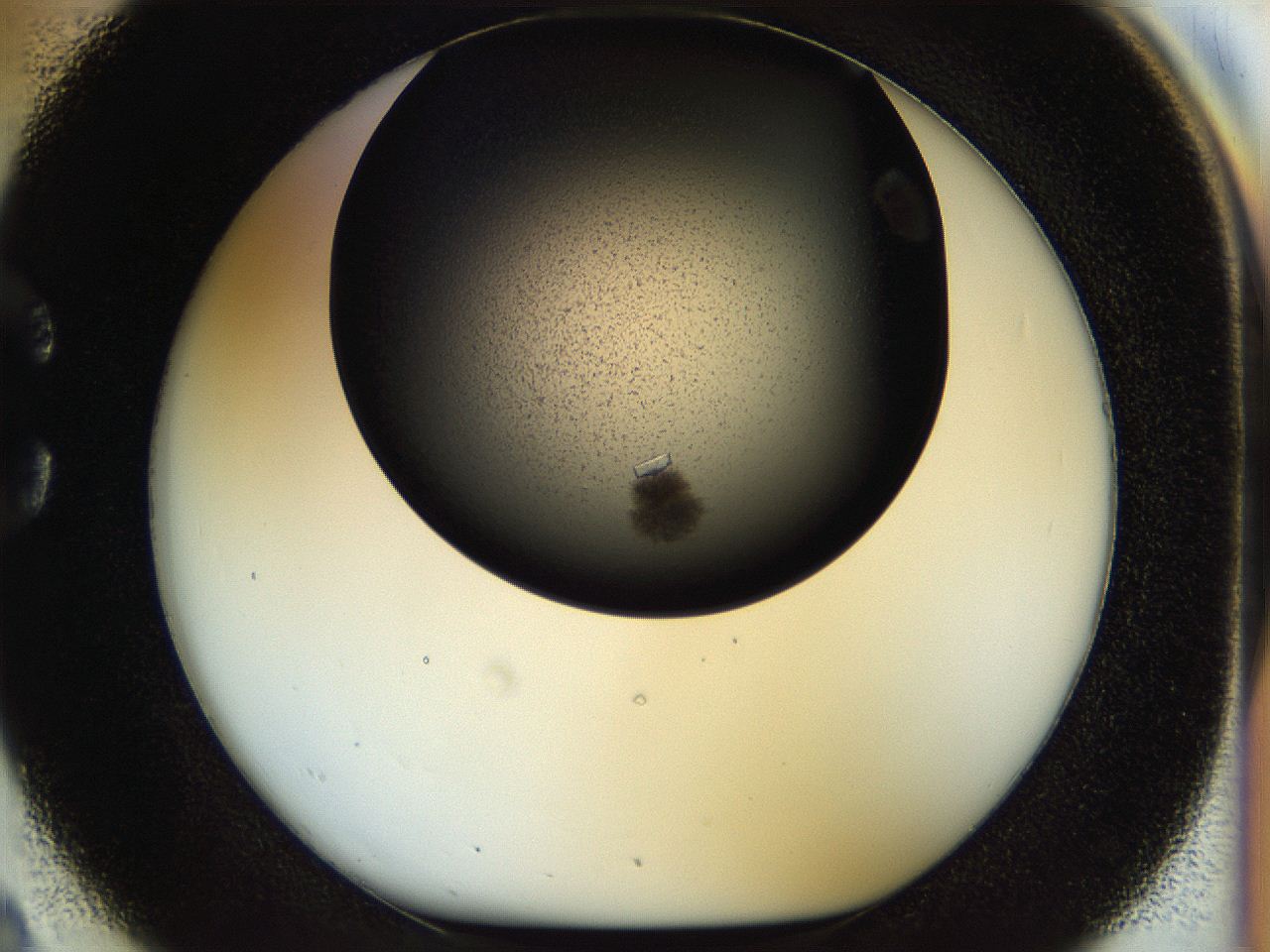 055q_C2_ImagerDefaults_8.jpg