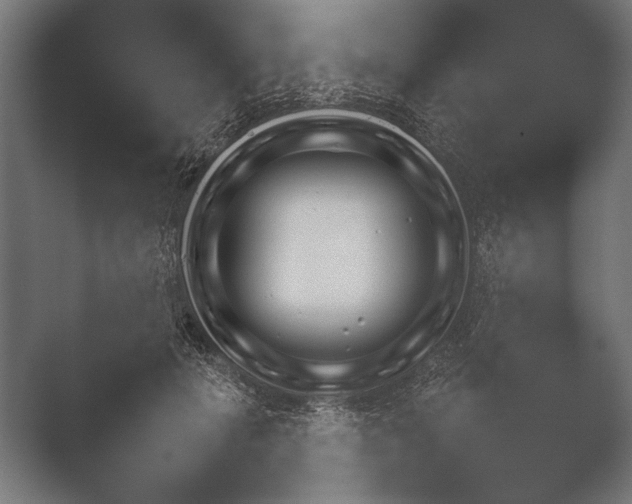 X0000051110601200507141758.png