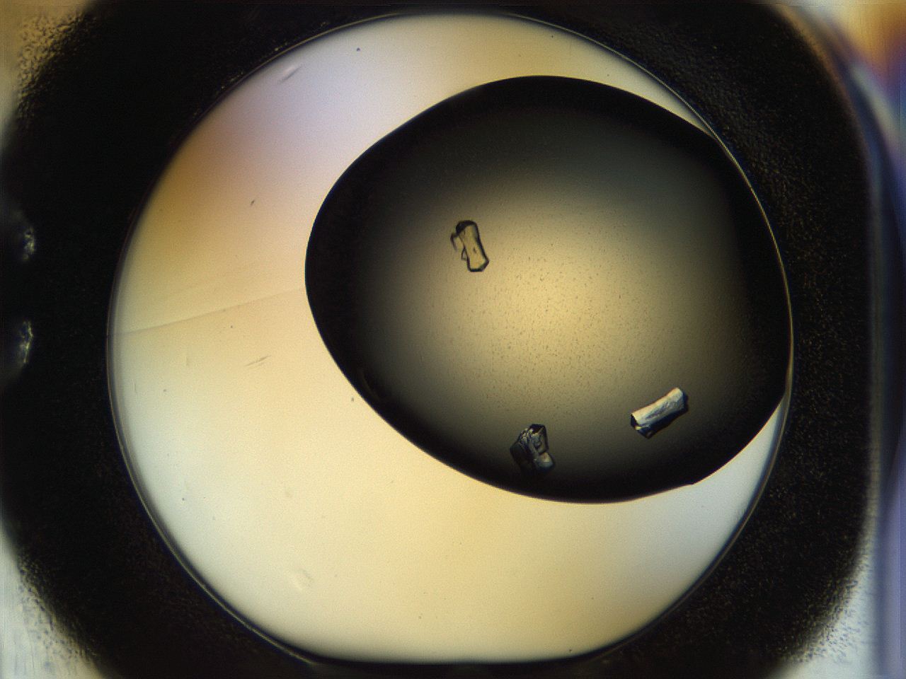 055q_C1_ImagerDefaults_9.jpg