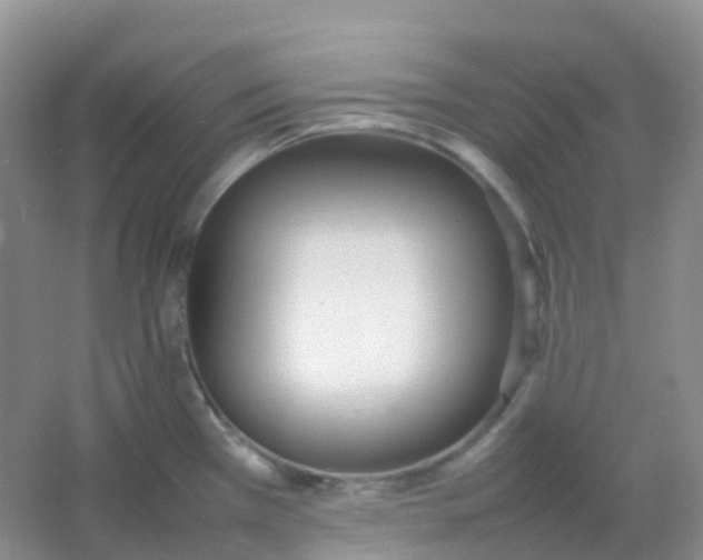 X0000054331385200508111907.png