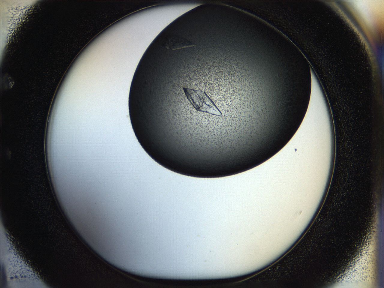 055q_E4_ImagerDefaults_8.jpg
