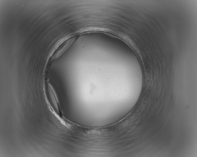 X0000055210898200508301319.png
