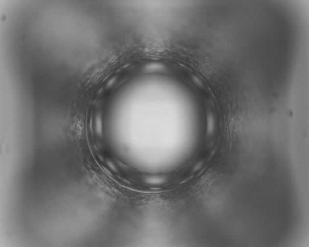 X0000052121250200507262042.png