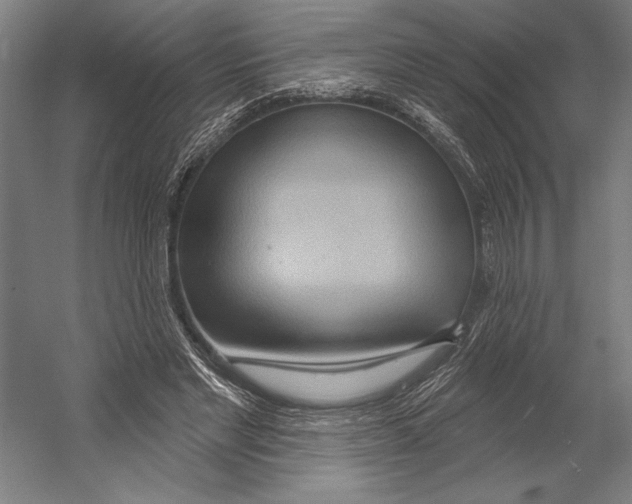 X0000055250493200509071619.png