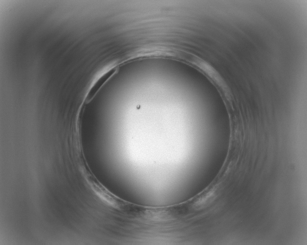 X0000054331242200508111910.png