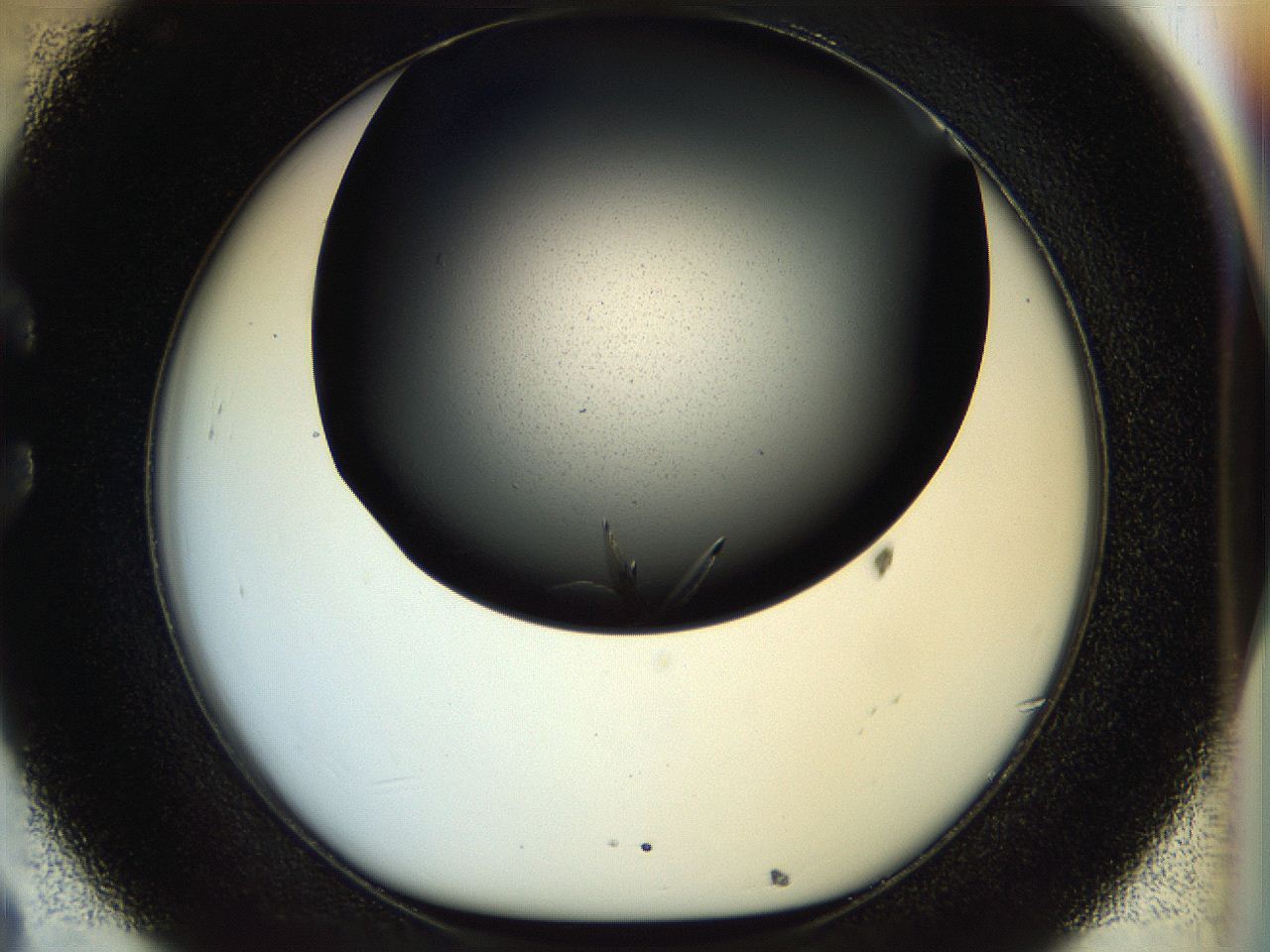 055r_C8_ImagerDefaults_9.jpg