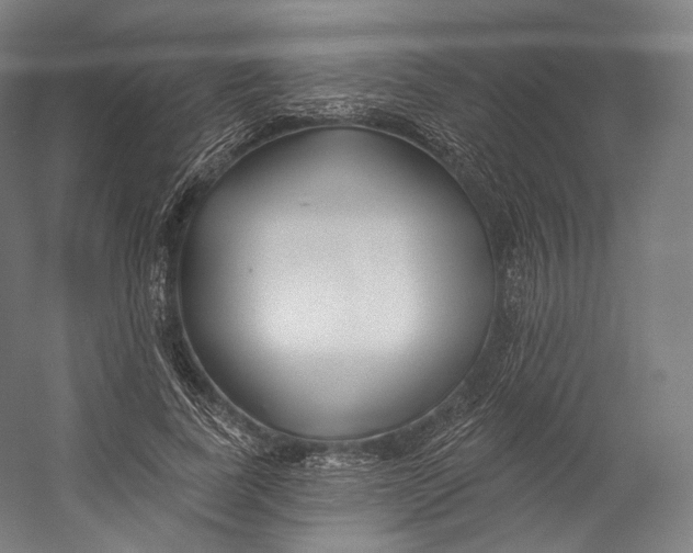 X0000055210739200508301321.png