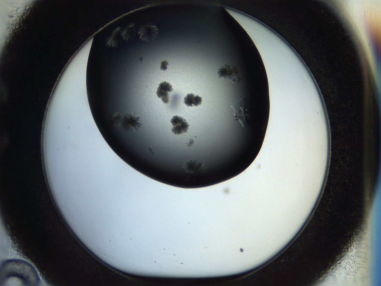 055r_C10_ImagerDefaults_8.jpg