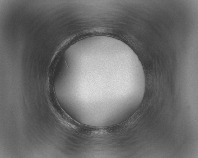 X0000055210112200508301332.png