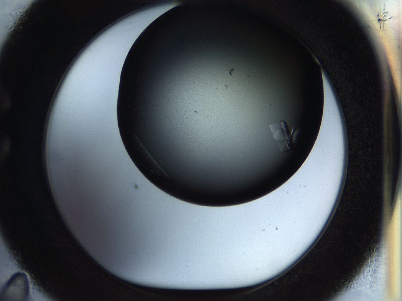 055r_C11_ImagerDefaults_9.jpg