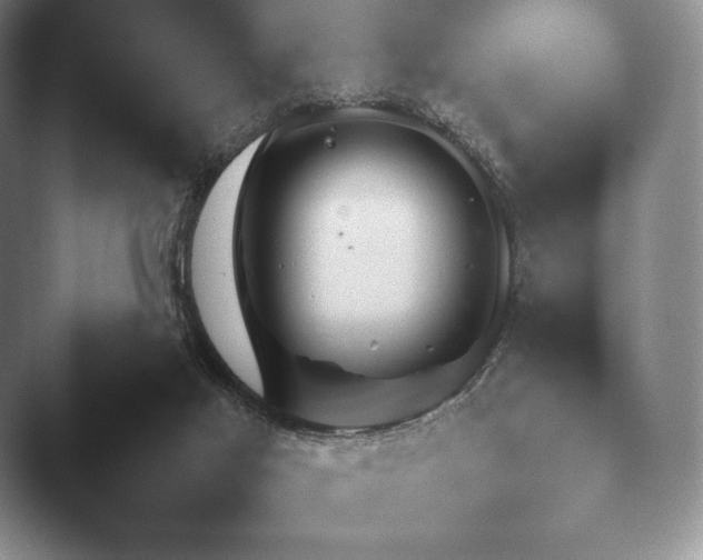 X0000045450021200502011708.png