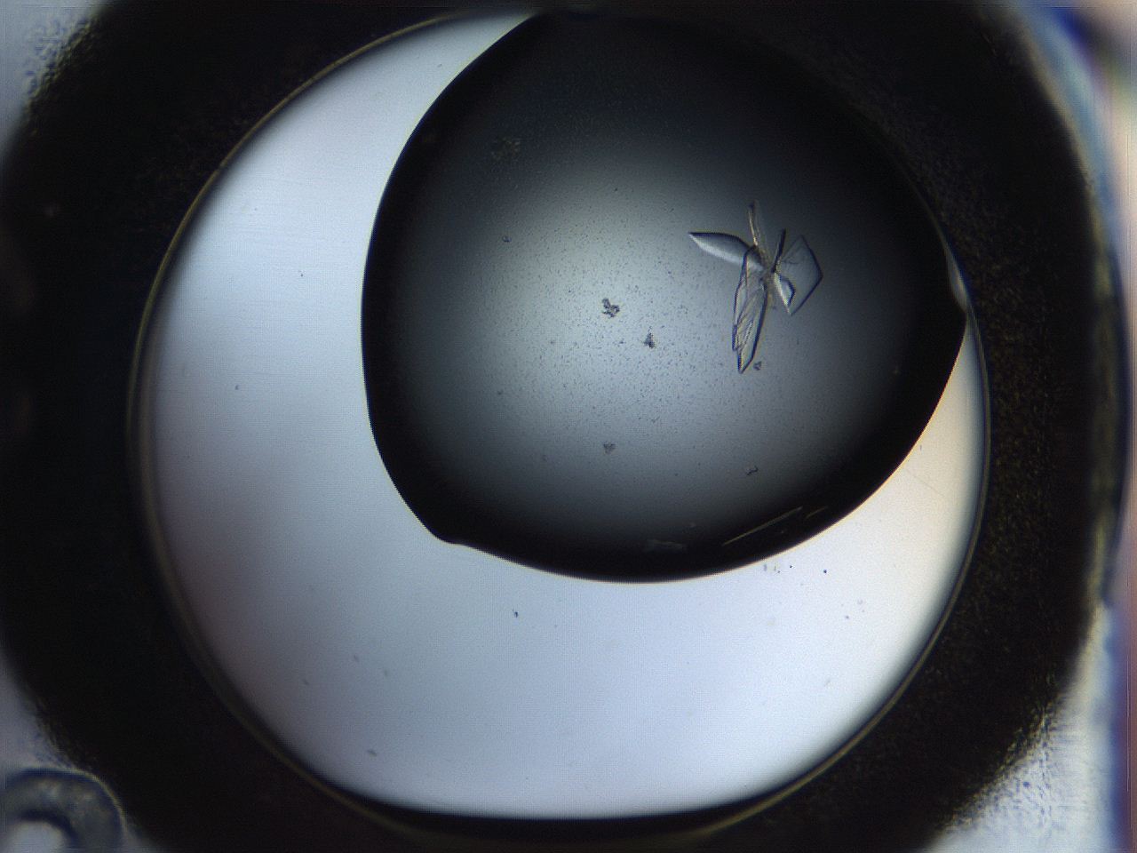 055r_C12_ImagerDefaults_9.jpg