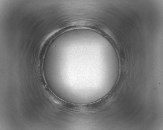 X0000054330971200508111915.png