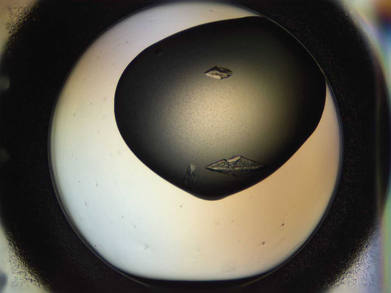 055r_E7_ImagerDefaults_8.jpg