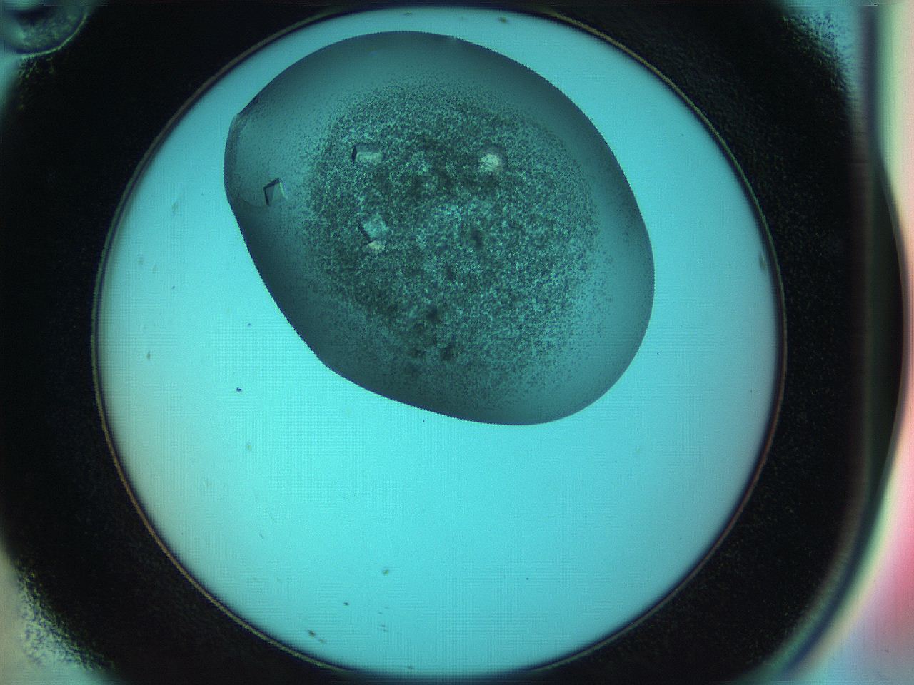 055s_D10_ImagerDefaults_9.jpg