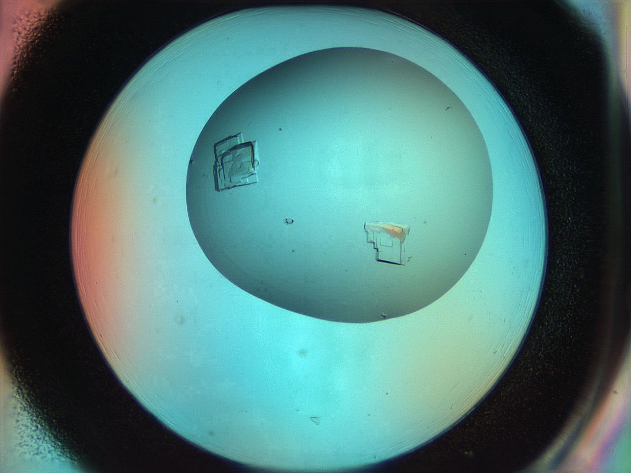 055s_H1_ImagerDefaults_9.jpg