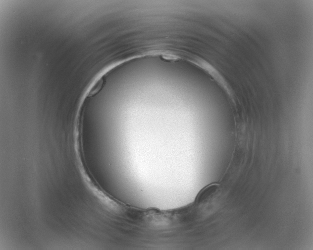 X0000054330955200508111915.png