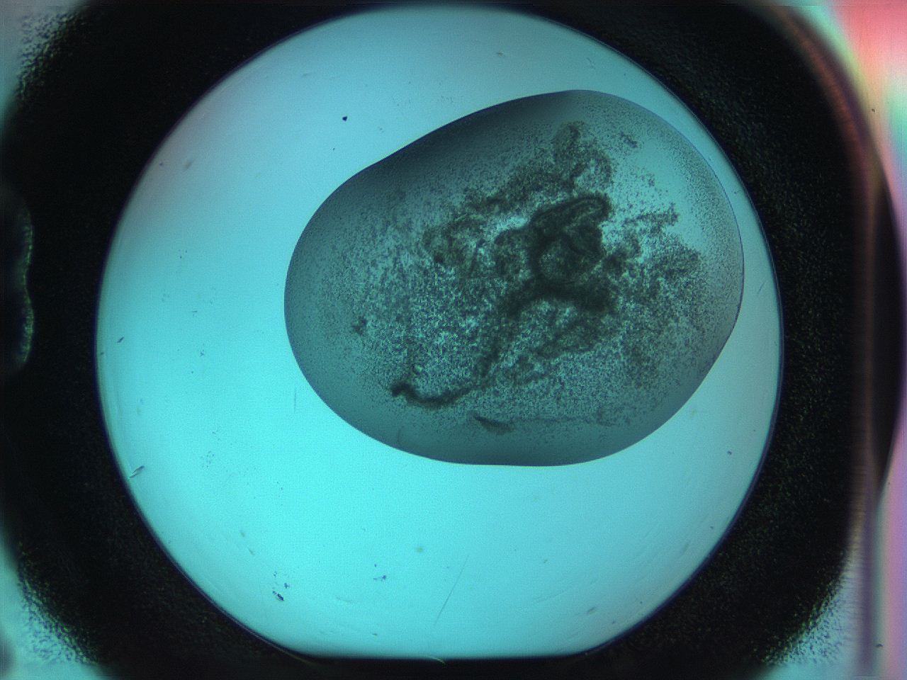 055s_B6_ImagerDefaults_8.jpg