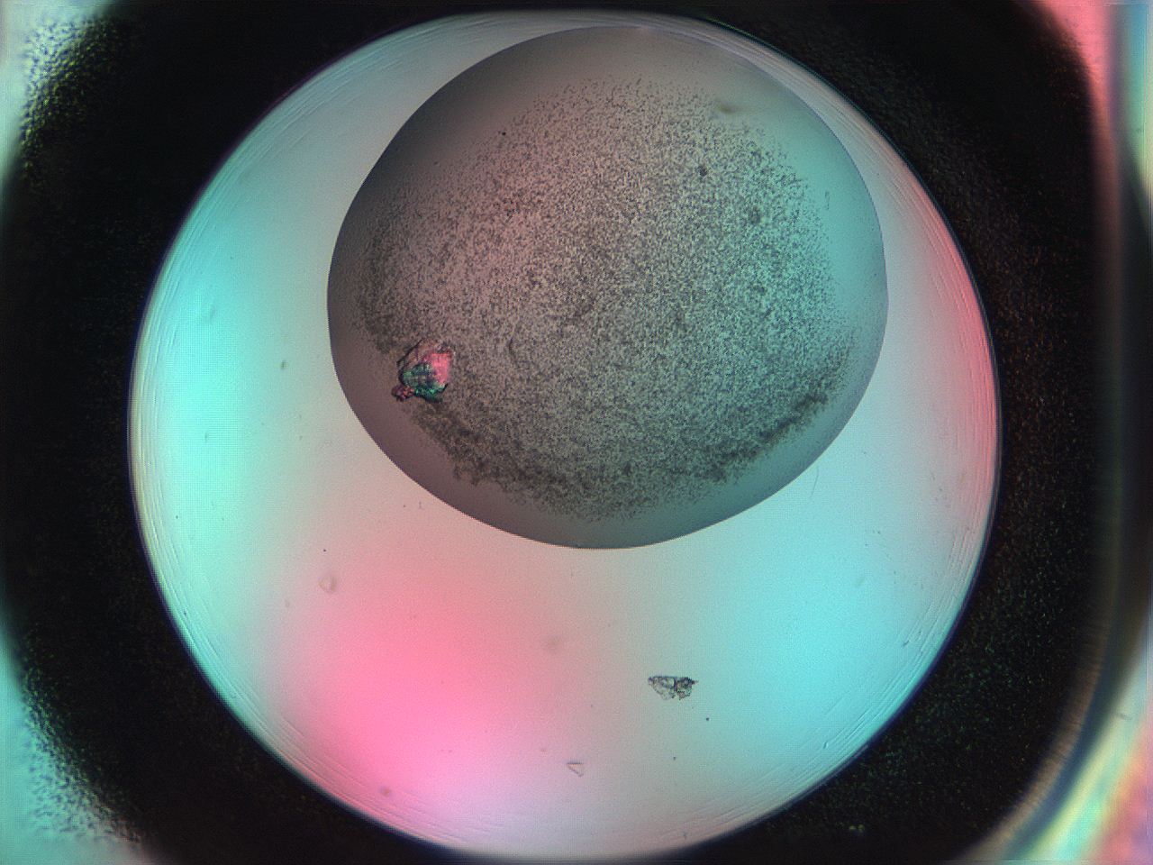 055u_H1_ImagerDefaults_9.jpg