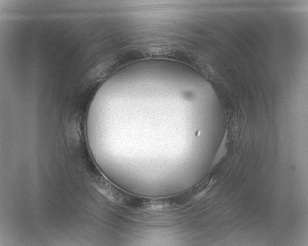 X0000054330746200508111918.png