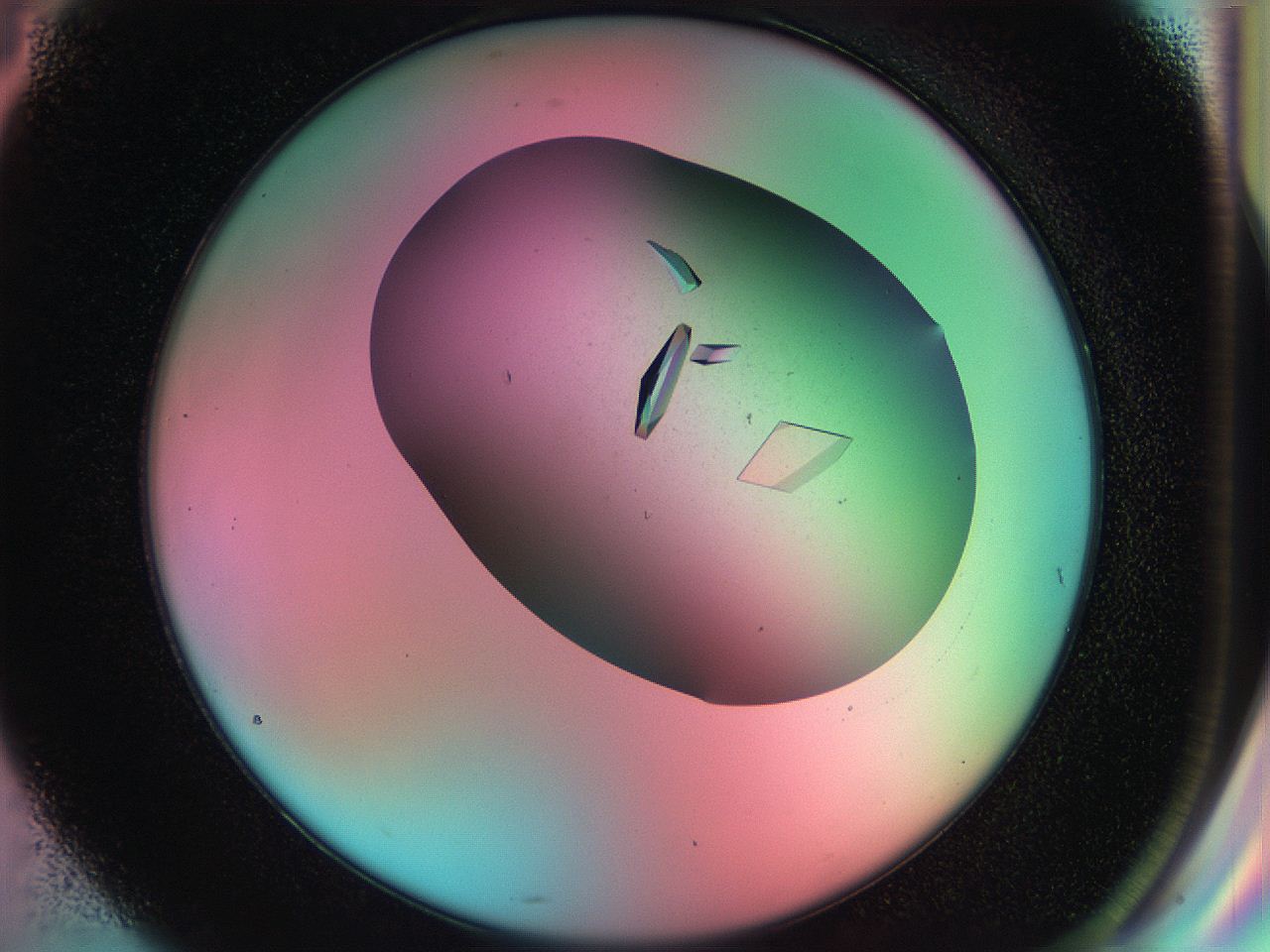 055u_G4_ImagerDefaults_9.jpg
