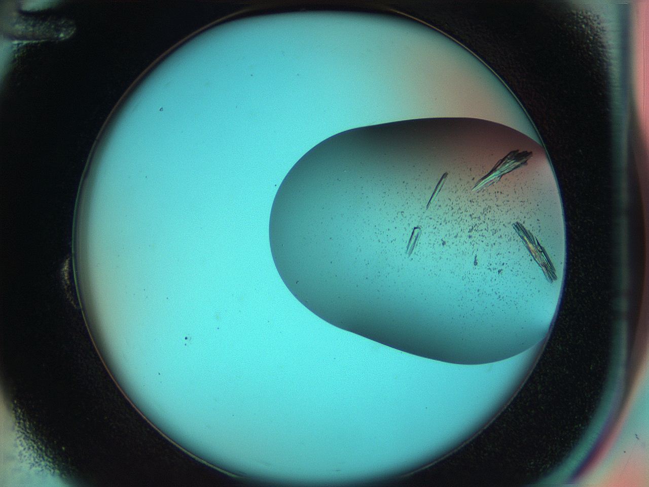 055u_B12_ImagerDefaults_9.jpg
