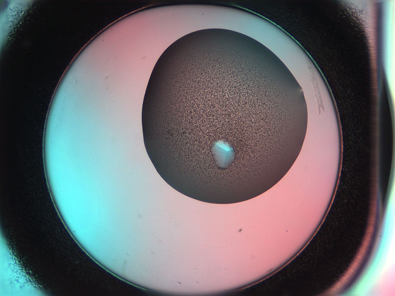 055w_C8_ImagerDefaults_9.jpg