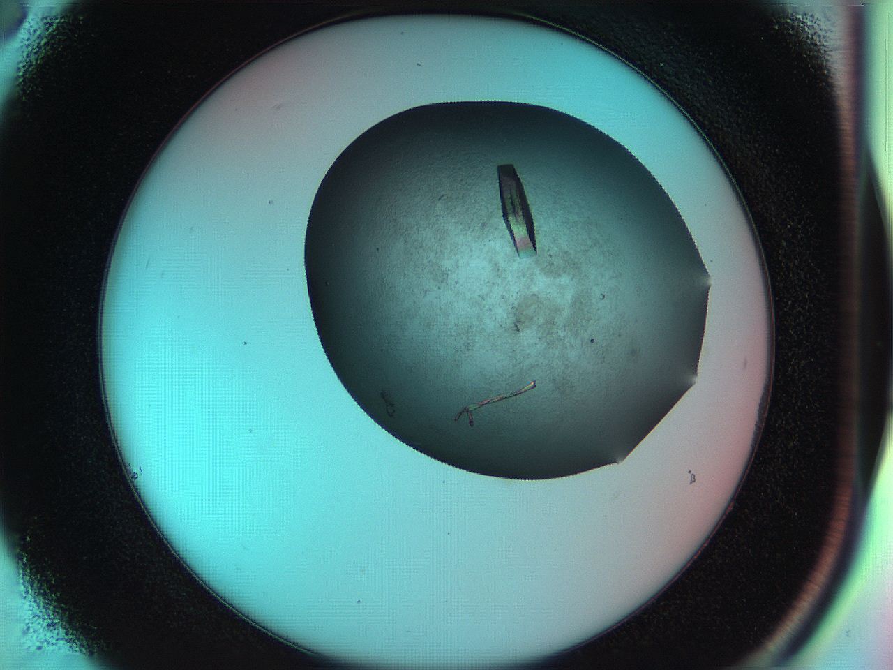 055w_C6_ImagerDefaults_9.jpg